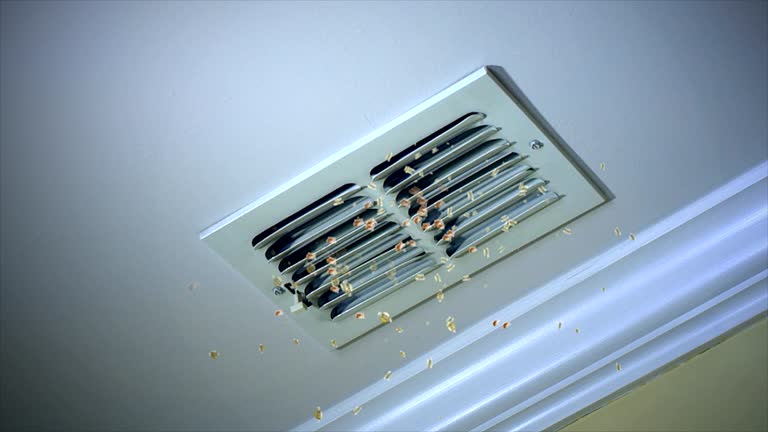 Best Professional Duct Cleaning Services  in Smyrna, GA